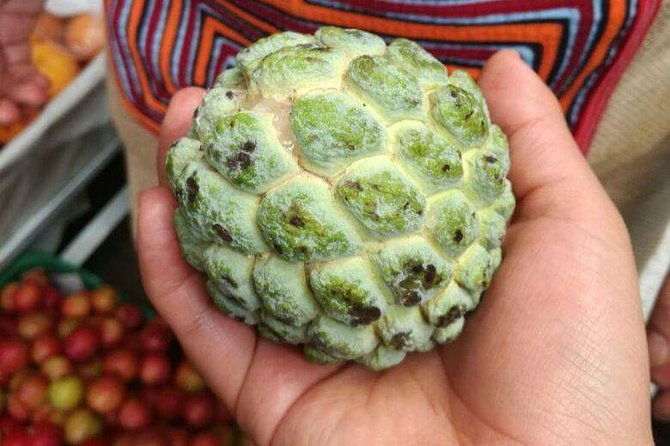 paloquemao-market-food-tour-exotic-fruit-local-snacks-min-2-pax