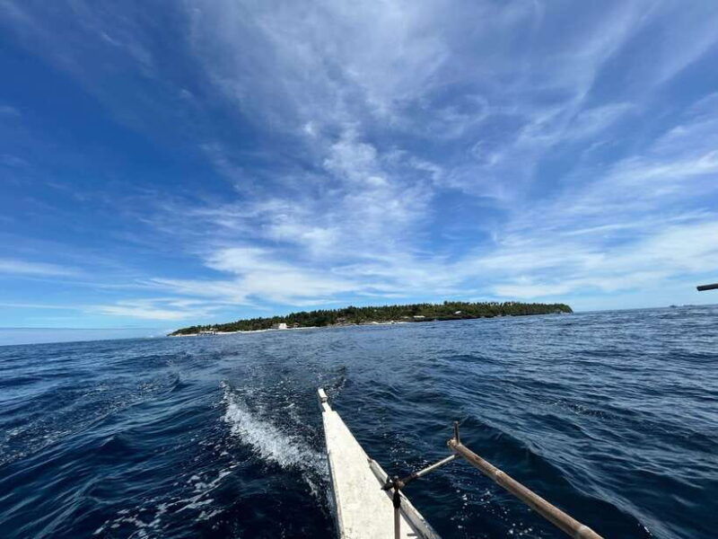 pamilacan-island-dolphins-snorkel-lunch-and-walking-tour