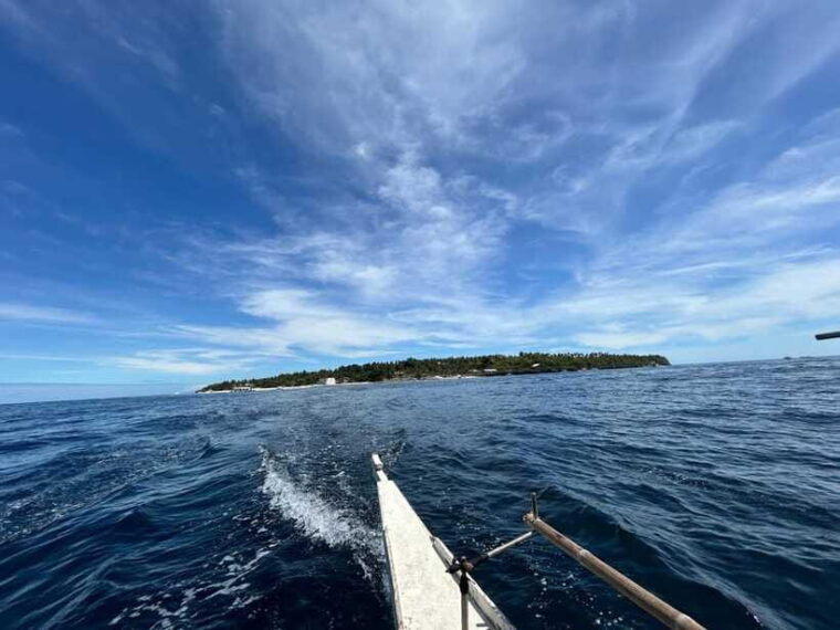 pamilacan-island-dolphins-snorkel-lunch-and-walking-tour