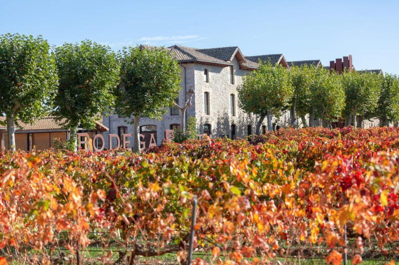 pamplona-otazu-wineries