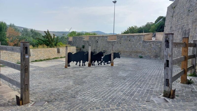Pamplona - San Fermín 365 - FAQs