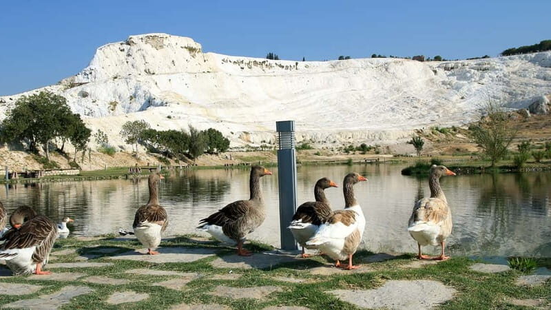 Pamukkale and Hierapolis: Full-Day Private or Group Tour - The Sum Up