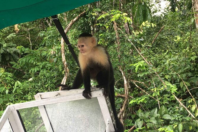 panama-canal-eco-tour