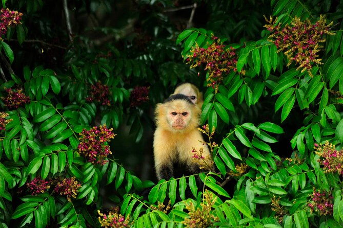 panama-canal-eco-tour