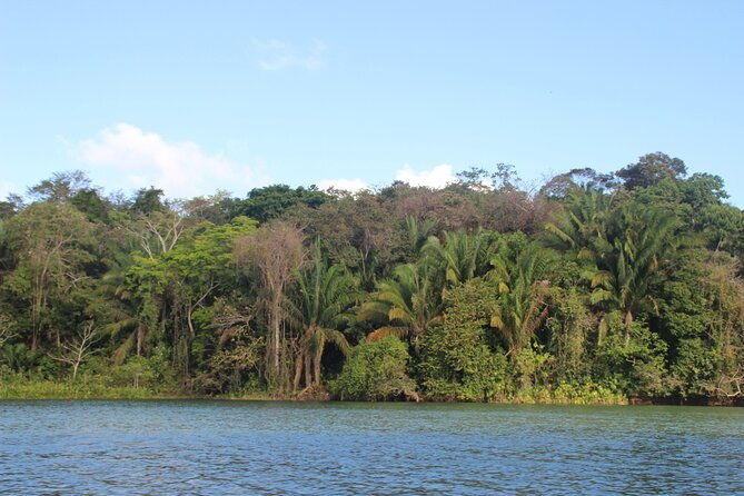 panama-canal-jungle-boat-explorer-private-tour