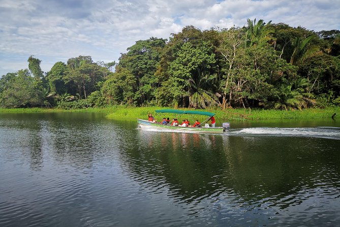 panama-canal-monkey-wildlife-boat-safari