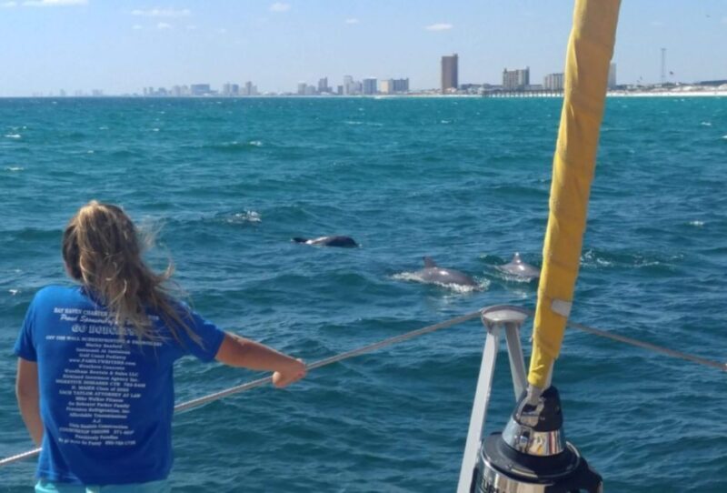 Panama City Beach: Dolphin Sightseeing Sail on the Footloose - Practical Tips for Your Dolphin Sail