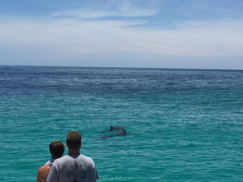 panama-city-beach-dolphin-sightseeing-sail-on-the-footloose
