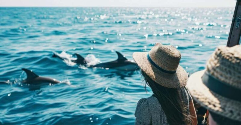 panama-city-beach-private-dolphin-cruise
