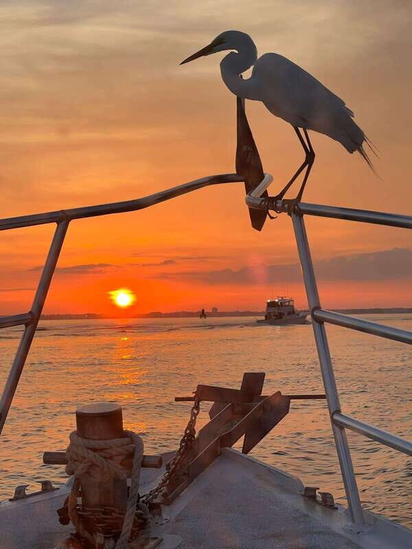 Panama City Beach: Private Sunset Cruise - FAQs