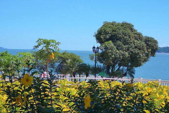 panama-city-like-a-local-customized-private-tour