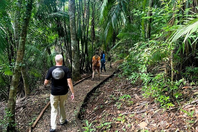 panama-city-metropolitan-park-trail-tour