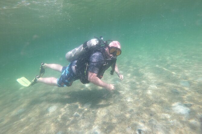 Panama City Scuba Diving Activity for Beginners - The Sum Up