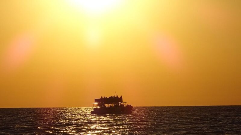 Panama City: Sunset Dolphin Cruise in St. Andrews Bay - The Experience: What You Can Expect  