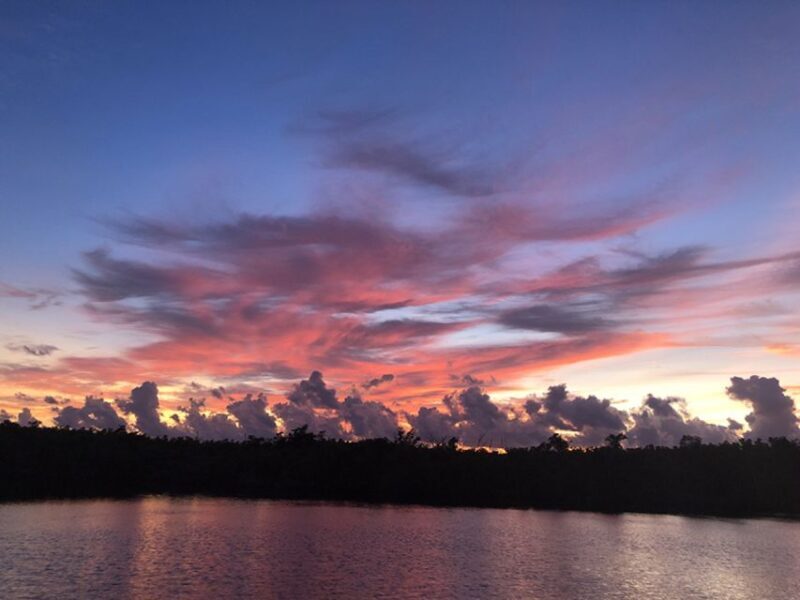 Panama City: Sunset Dolphin Cruise in St. Andrews Bay - Why This Tour Offers Great Value  