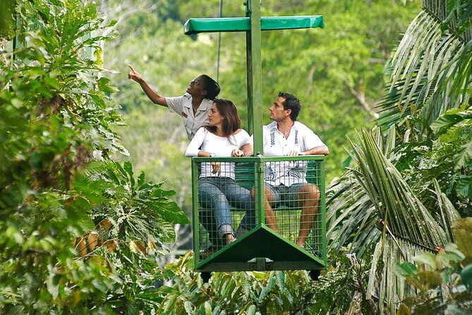 panama-eco-adventure-gatun-lake-aerial-tram-sloth-sanctuary