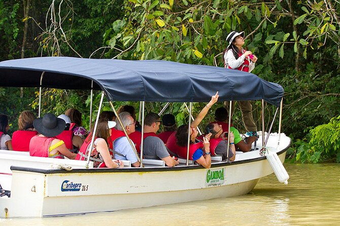 panama-eco-adventure-gatun-lake-aerial-tram-sloth-sanctuary