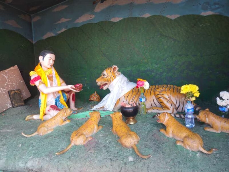 Panauti, Namo Buddha & Sanga Full-Day Tour - Who Should Consider This Tour?