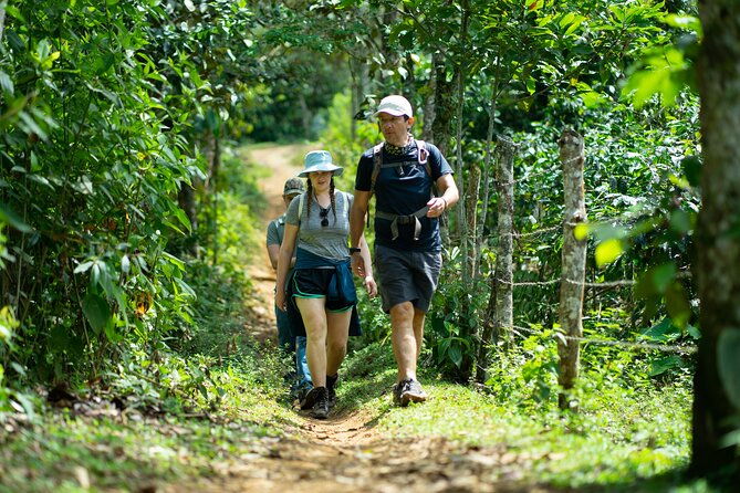 pance-waterfalls-hike-to-discover-the-biodiversity-of-the-valley