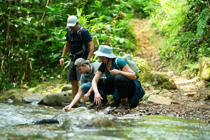 pance-waterfalls-hike-to-discover-the-biodiversity-of-the-valley
