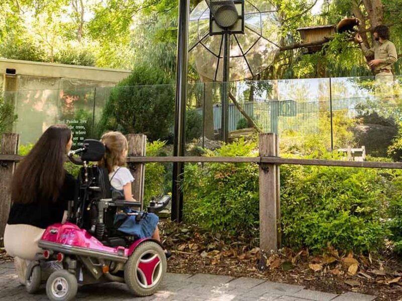 Panda & Friends Tour and a Day at Adelaide Zoo - Is This Tour Good Value?