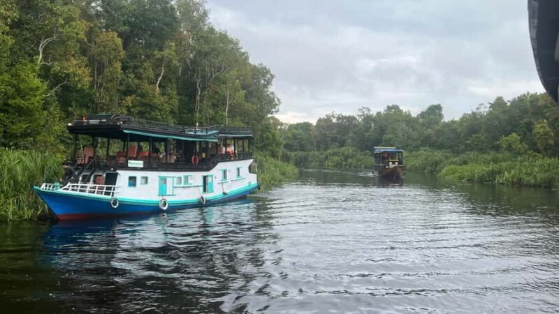 Pangkalan Bun Tanjung Puting Orangutan Day Tour by Speedboat - Cruising Further and Visiting Tanjung Harapan Ranger Station