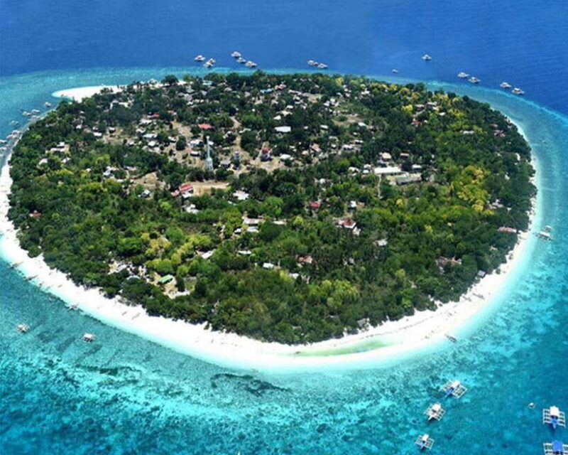 panglao-bohol-balicasag-island-hopping-dolphin-watching