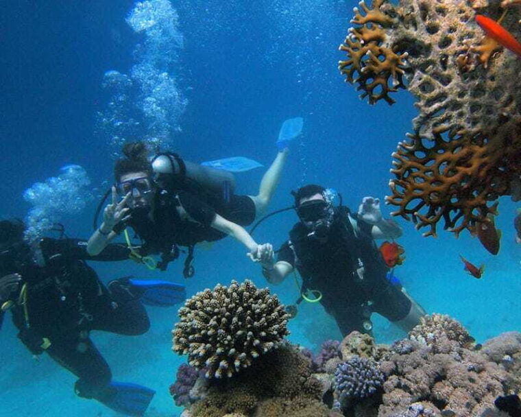 panglao-bohol-try-scuba-diving-at-napaling-and-sardines