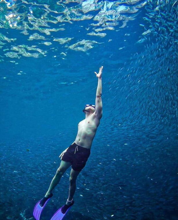 panglao-freediving-adventure-with-sardine-run-photos