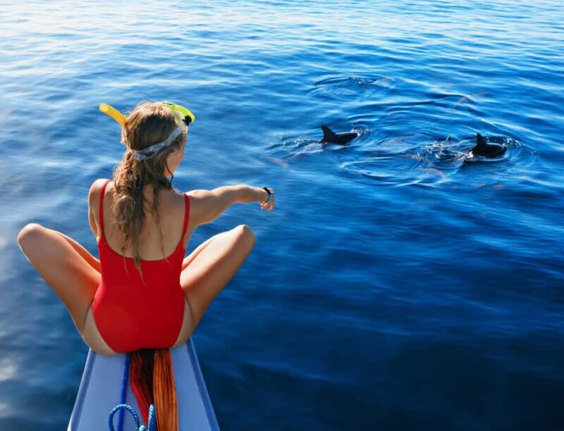 Panglao: Island Hopping w/Balicasag (Shared) - What We Like and What to Consider