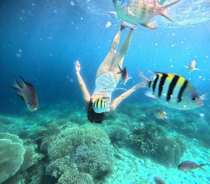panglao-island-hopping-w-balicasag-shared