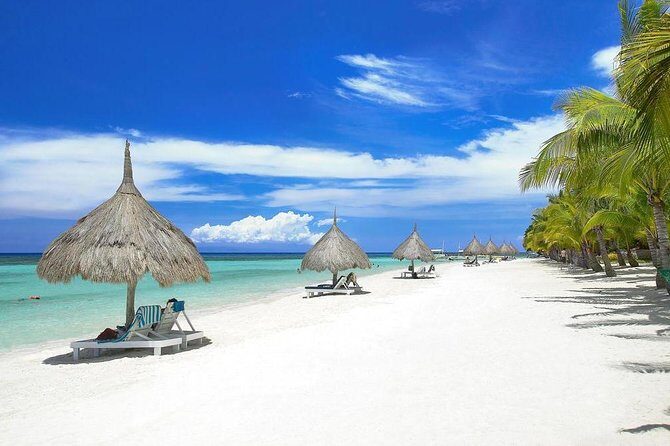 Panglao Island Tour - What Reviewers Say