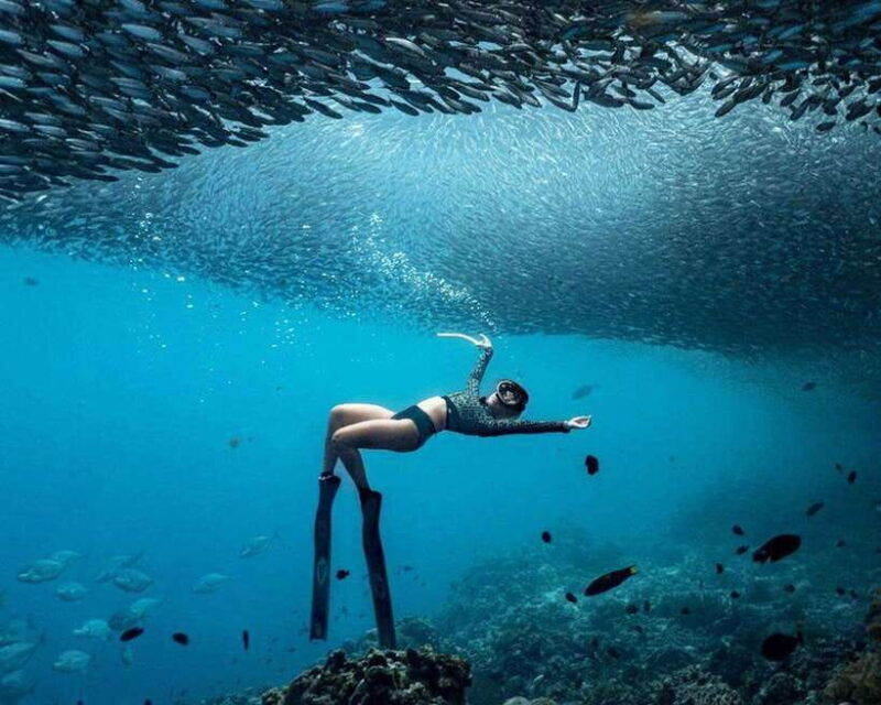 panglao-napaling-reef-and-sardines-freediving-experience