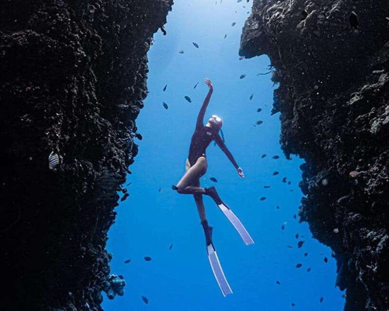 panglao-napaling-reef-and-sardines-freediving-experience