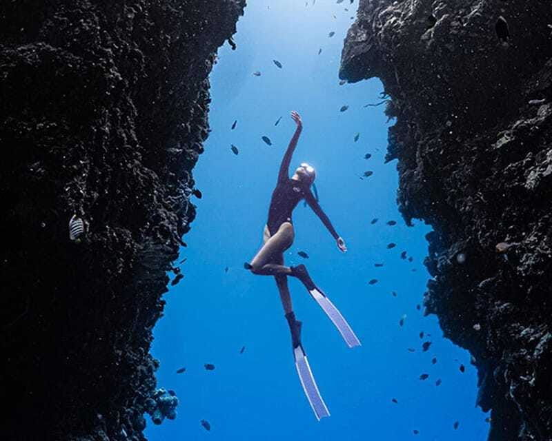 panglao-napaling-reef-and-sardines-freediving-experience