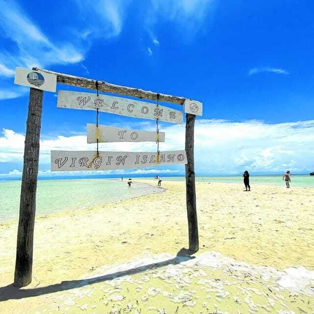panglaobalicasag-island-tour-with-turtle-dolphin-watching
