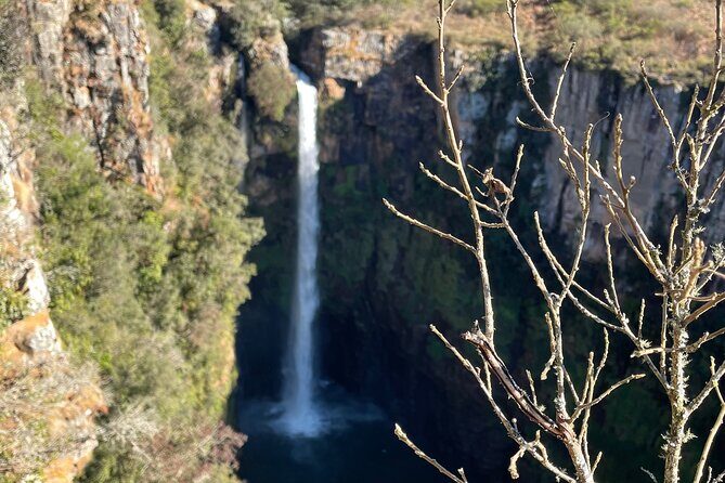 Panorama Route Full Day Tour - FAQs
