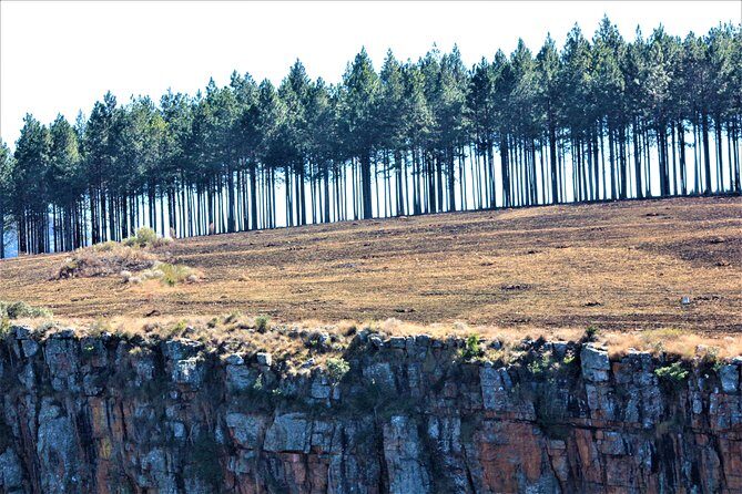 Panorama Route Guided Day Tour & Gorge Lift from Hazyview - Who Will Love This Tour?