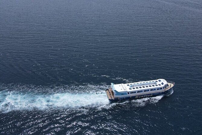 Panorama Semi Submarine Snorkelling Cruise in Makadi Bay - A Closer Look at the Tour Experience