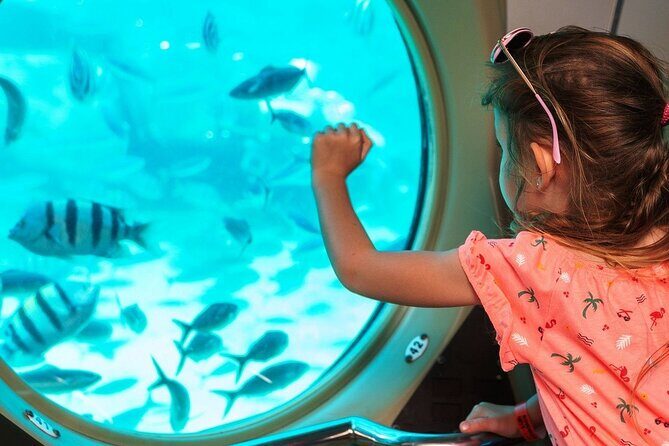 Panorama Semi Submarine Snorkelling Cruise in Makadi Bay - FAQ