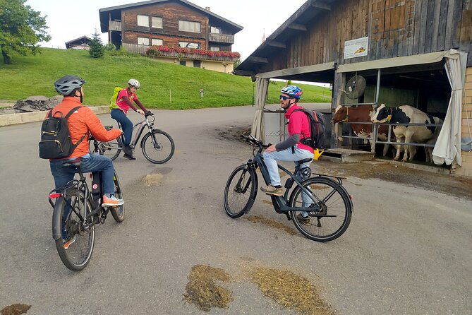 panoramic-e-bike-tour-with-a-lake-cruise