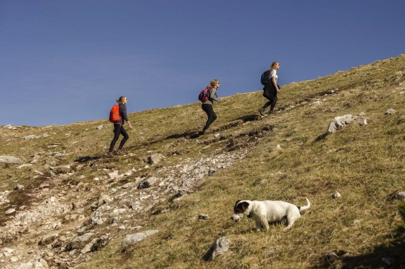 panoramic-hike-in-julian-alps-2