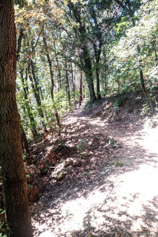 panoramic-hiking-in-the-florentine-hills