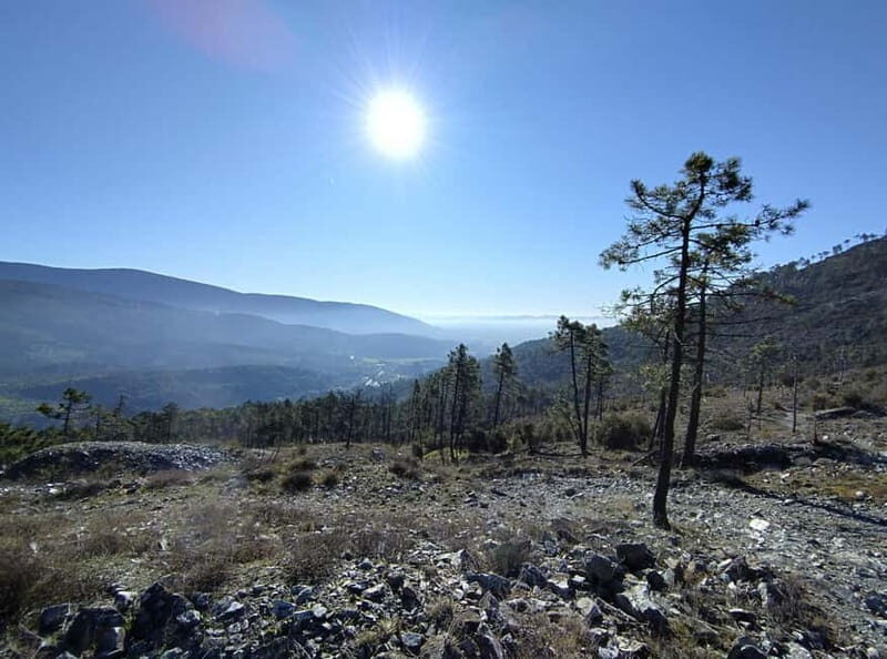 Panoramic hiking in the Florentine hills with Vincenzo - Who Should Consider This Tour?