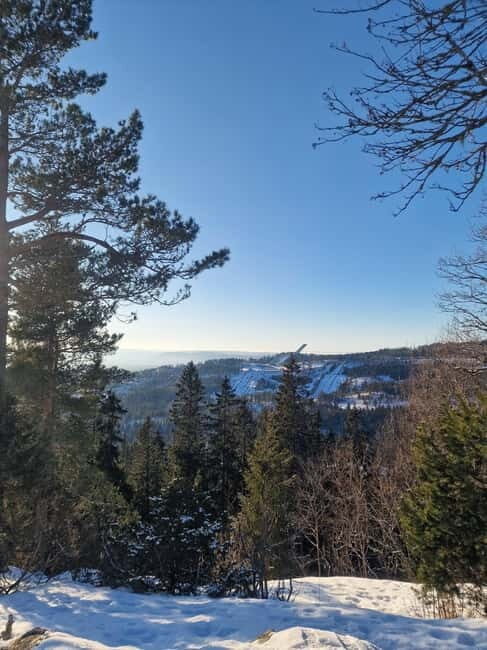 Panoramic Peaks  Oslos Best Fjord Views Hike - An in-depth look at the "Panoramic Peaks" experience