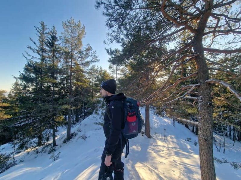 Panoramic Peaks  Oslos Best Fjord Views Hike - Price and Value