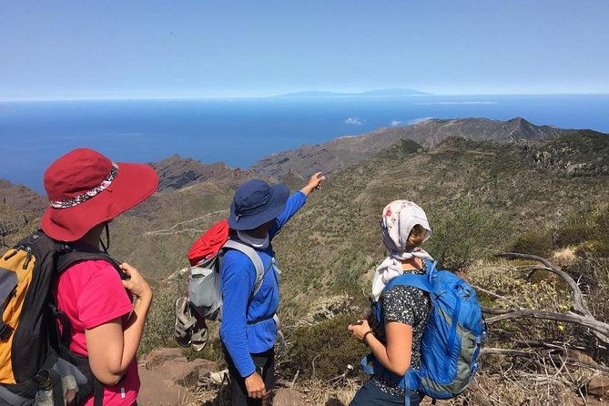 panoramic-route-across-the-teno-rural-park-in-tenerife