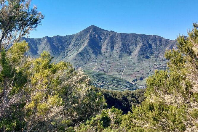 panoramic-route-across-the-teno-rural-park-in-tenerife