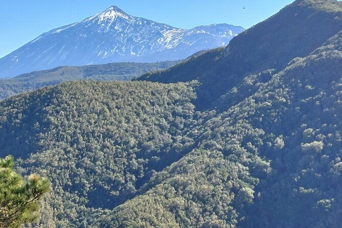 panoramic-route-across-the-teno-rural-park-in-tenerife
