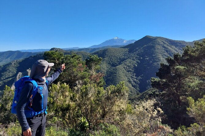 panoramic-route-across-the-teno-rural-park-in-tenerife